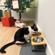 Elevated Cat Bowls with Wooden Stand 15  Tilted Raised Stainless Steel Cat Bowls