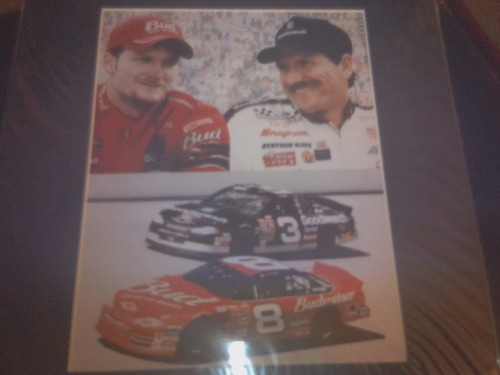 Here We Have A Dale Earnhardt and Dale Earnhardt JR Pic And There Cards NOS .