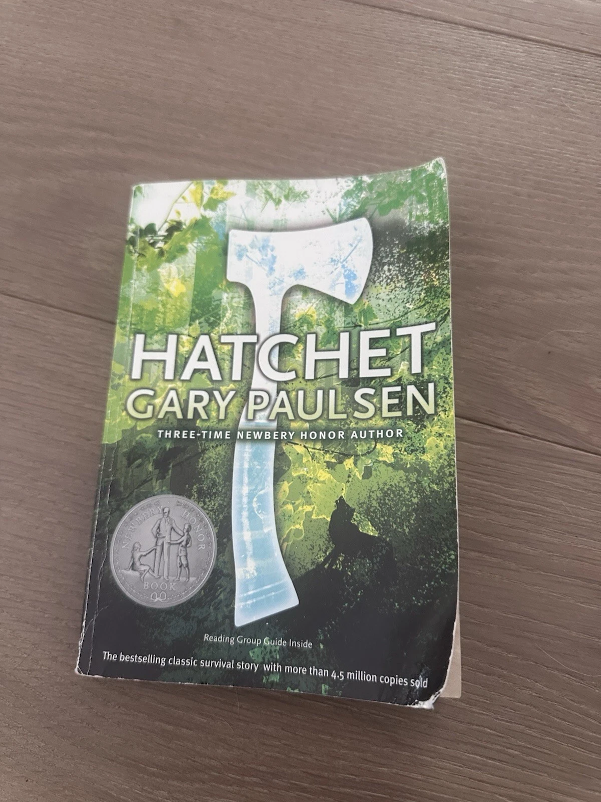 Hatchet - Paperback By Paulsen, Gary - GOOD