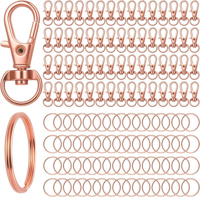 120 Stk Schlüsselanhänger Ringe Set, 60 Schlüsselringe + 60 Karabinerhaken, Kara