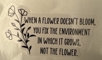 WEISE WORTE FÜR ERWACHSENE ''WENN EINE BLUME NICHT BLÜHT, REPARIERST DU....''!  Zitate