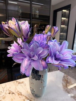 Pure Purple Double Oriental Lily Bulbs Imported Flower Plant Pack of 2