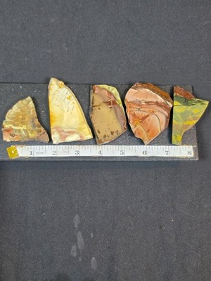5x Willow Creek Idaho Jasper Slabs 