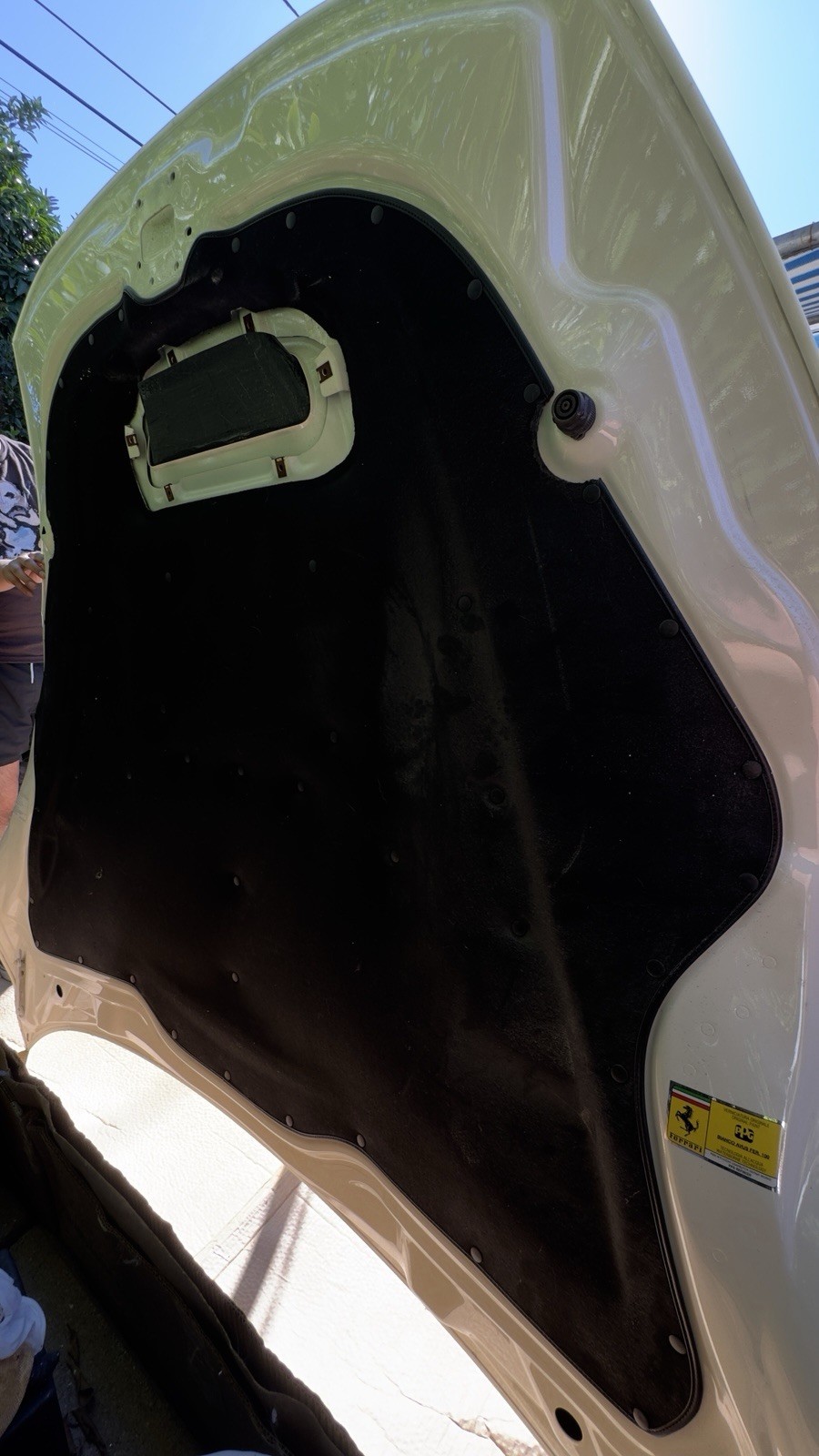 ferrari f12 berlinetta Hood