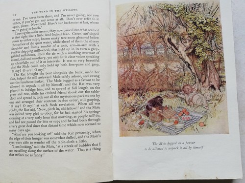 Wind in the Willows 97th edition 1950 Kenneth Grahame Arthur Rackham A A Milne - Picture 10 of 12