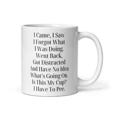I Came I Saw I Forgot What I Was Doing Coffee Mug, Senior Citizen Mug
