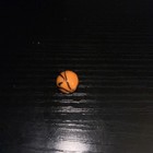 Picture 6 of 6