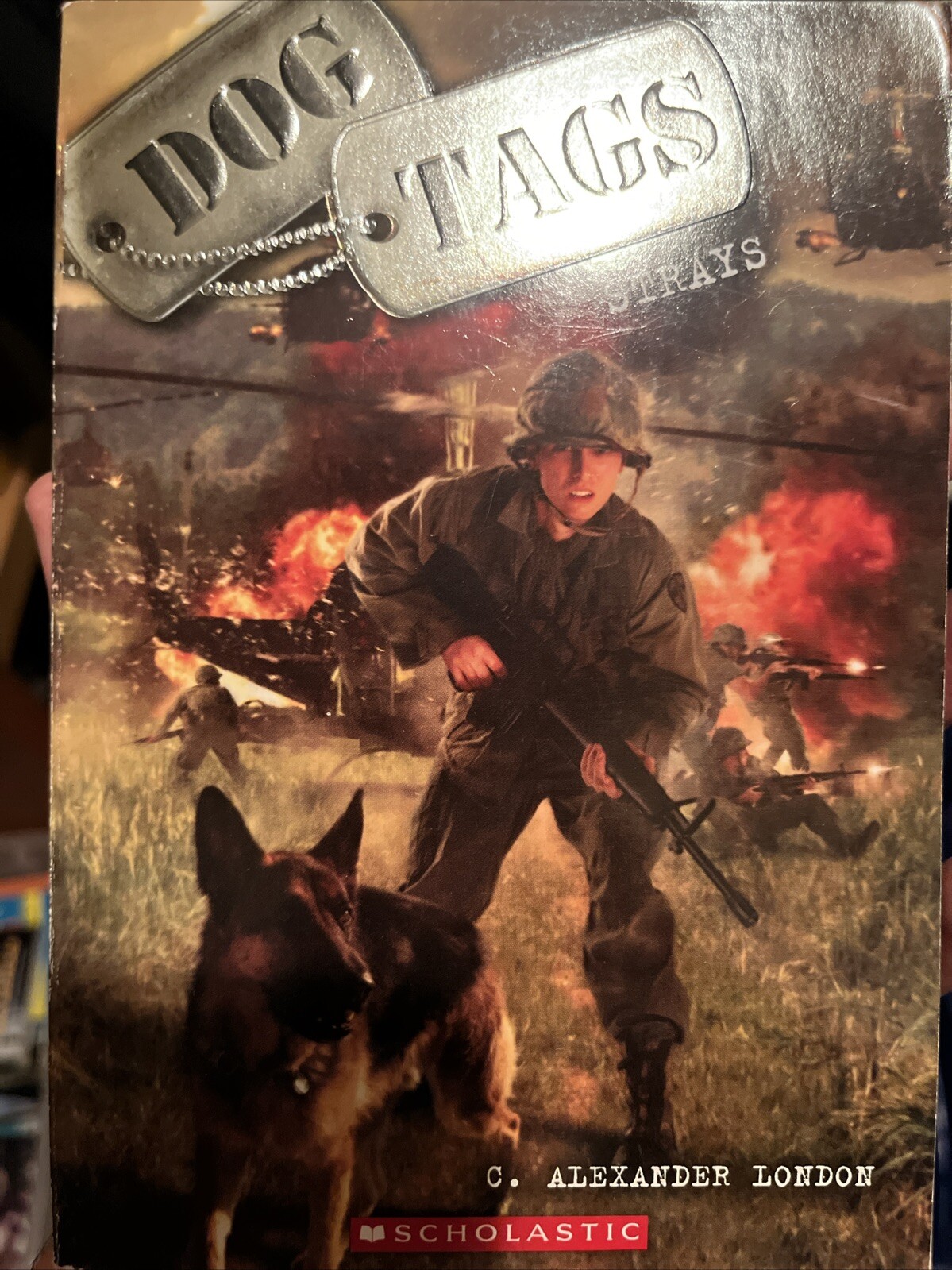 Strays by C Alexander London 2013 Trade Paperback Novel  