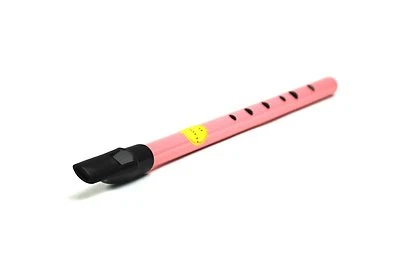 Irish Made Pink Feadog D Flageolet Tin Brass Penny Whistle in D