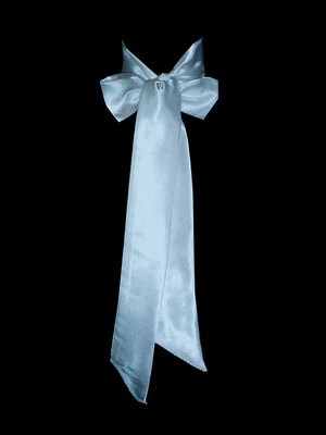 BABY BLUE Satin Wedding Fancy Dress Party Ribbon Sash Tie Belt Bridesmaid Bow