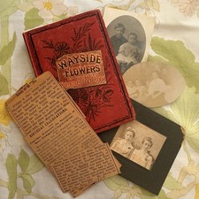 Antique Victorian Wayside Flowers Birthday Book Genealogy Obituaries Photos