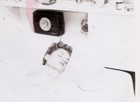 Variety Pak of 4 intriguing photo oddities W — photo 2