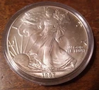 1987 American Silver Eagle 1 Troy Oz. Silver Dollar MS- Capsulated