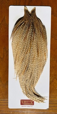 Whiting Grizzly Ginger Cape 683-SH-E-L