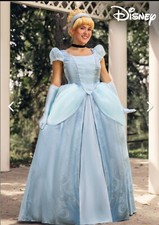 disney cinderella costume adult
