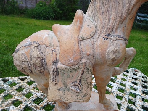 A Rare Chinese Ancient Antique Tang Dynasty Sancai Terracotta Horse 14 Inch High - Picture 13 of 24