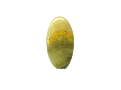 Bumble Bee Eclipse Cabochon 32x17 mm 25 ct. Nr. U26861