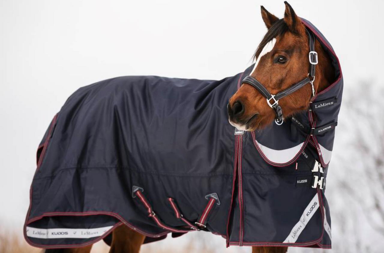 LeMieux Kudos Thermo Layer Turnout Rug 200g Medium - Navy