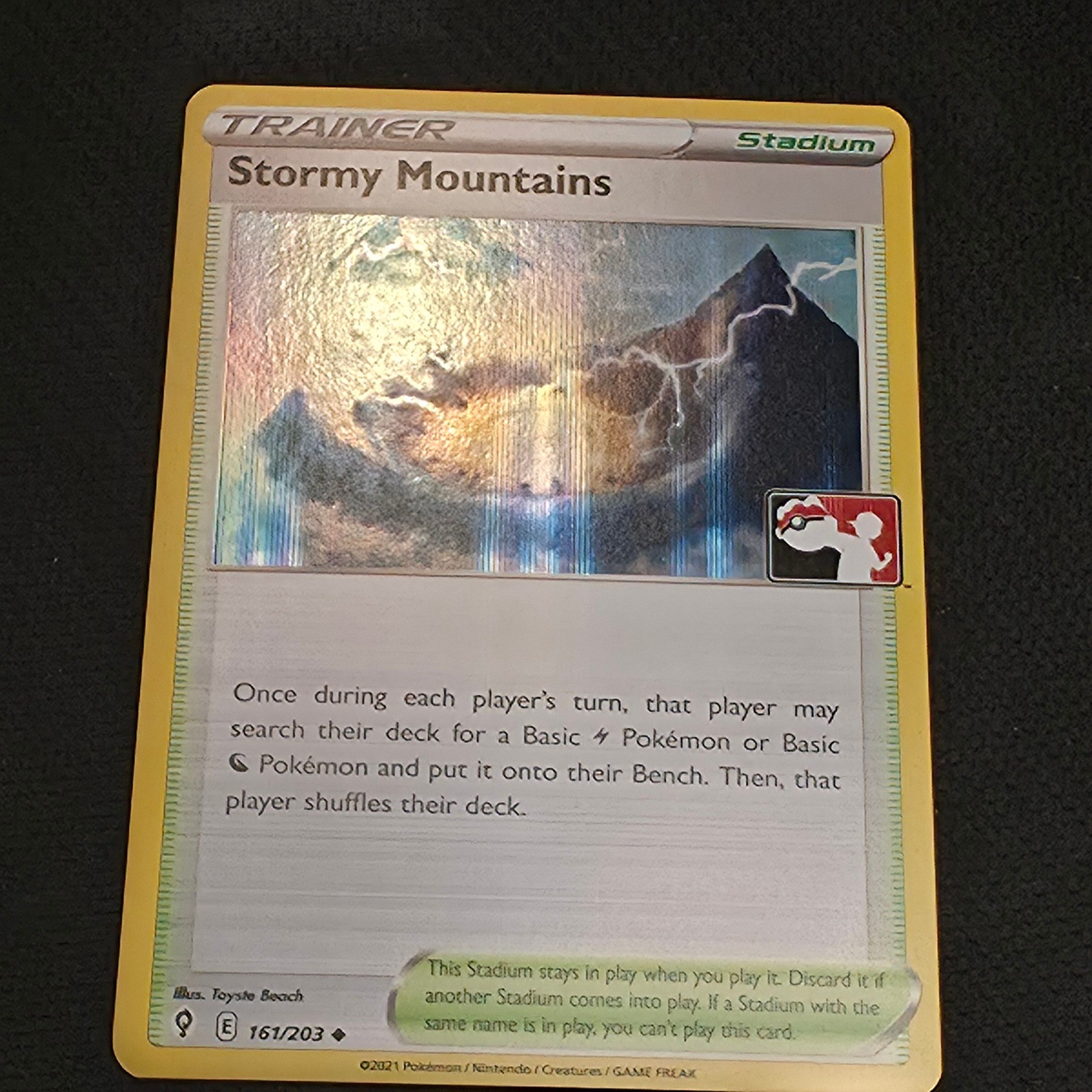 Stormy Mountains (Secret) Holo Secret Rare SWSH07: Evolving Skies 232/203 NM Pok