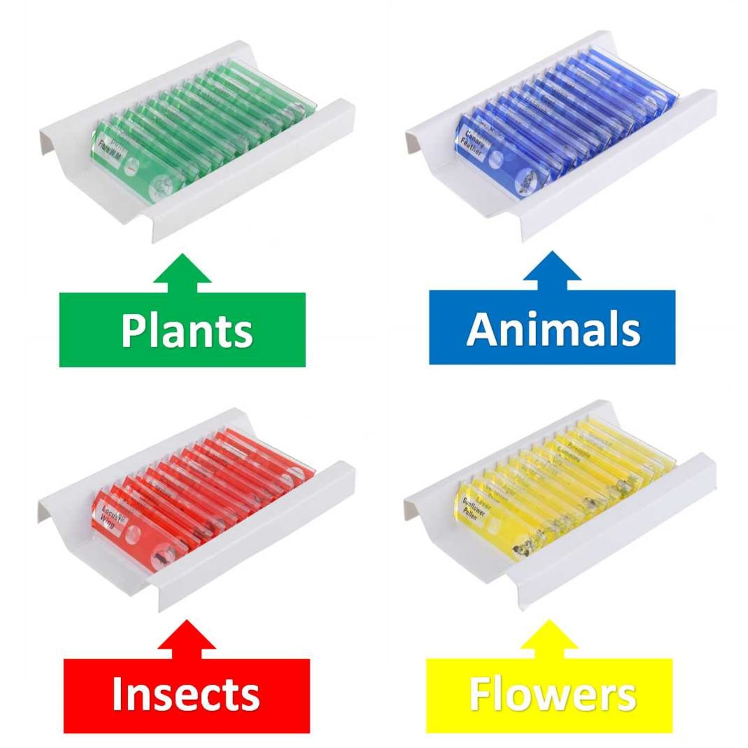 48 PCS Prepared Microscope Slides Set Insects Animals Flowers Plants Plastic Sam