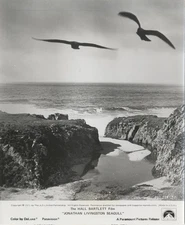 Jonathan Livingston Seagull Original 8x10 Photo Snipe birds flying over beach