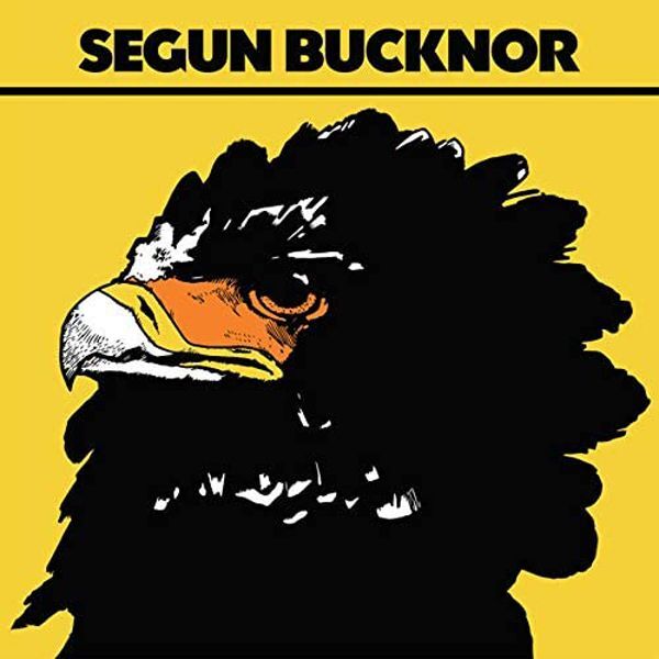 7829589 Audio Cd Segun Bucknor - Segun Bucknor