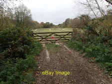 Photo 6x4 Sheep near Glottenham Manor Robertsbridge This field is seen fr c2021