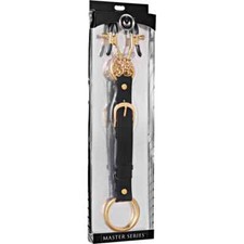 Penitentiary Nipple Clamps and Cock Ring Set