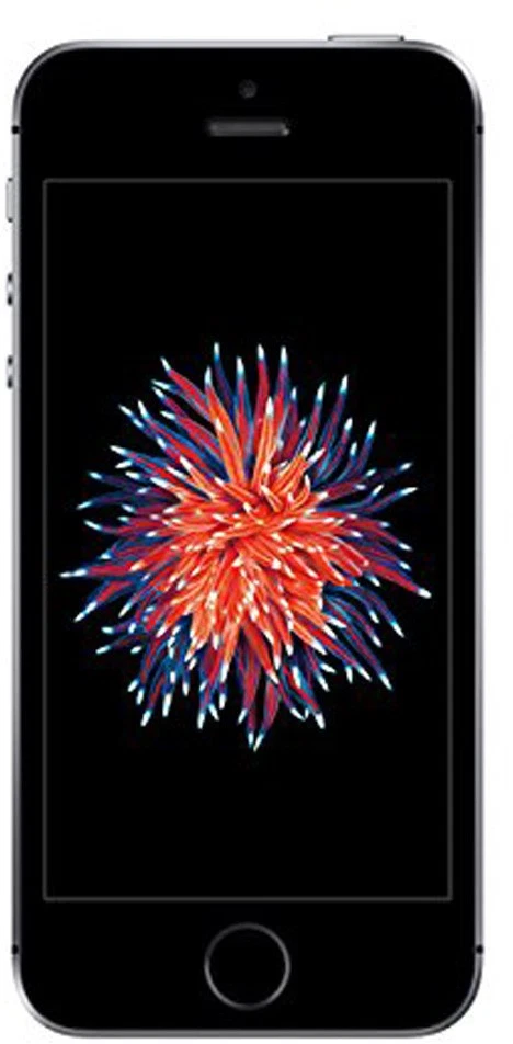 Apple iPhone SE 1. Gen. 32GB Space Grey in Sehr Gut White Box  - Bild 2 von 4