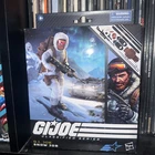 Hasbro G.I. Joe Snow Job 6 in Action Figure - F6682