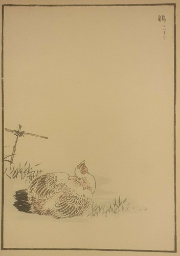 COCK HEN CHICKS JAPANESE WOODBLOCK PRINT BIRD BAIREI C1880s - Picture 4 of 4