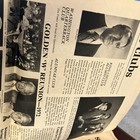 The Alumnus Newspaper Published By University Of Washington Alumni Assoc 1972 — photo 7