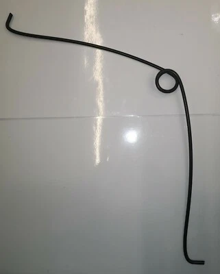 Sheep horn growth spring - Ram Lambs/Sherlings/Rams. Horned sheep