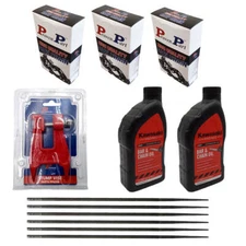 3-Semi Chisel Chain For 12In Bar 1/4" .043G 64Dl 2-Qt Oil 1-Stump Vise 6-Files