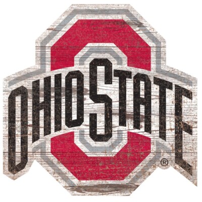 Ohio State Buckeyes Weather Resistant Vinyl Die Cut Sticker Decal 18