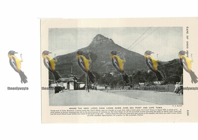Löwenkopf, Sea Point, Kapstadt, Südafrika, Buchillustration, um 1920