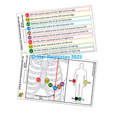 ECG Lead Placement ID Badge Flash Cards Student Paramedics Ambulance