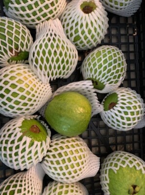 Fresh Pink Guava (2 LBS) The Actual Fruit