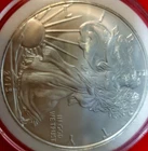 Better Date 2013 American Silver Eagle In Capsule 1 Troy Oz .999 Fine Silver