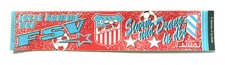 FSV Zwickau Aufkleber Sticker Logo Bundesliga Fussball #504