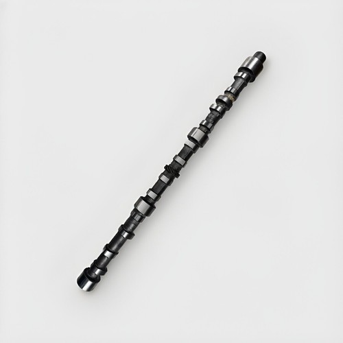 BMW Camshaft 838733 GM404 OEM E36 325i, E39 525i, E46 323i, E39 528i M52