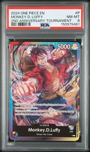 Luffy 2nd Anniversary Promo | eBay