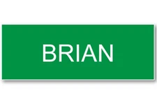 BRIAN ON OFFICE SPACE NAME BADGE PROP HALLOWEEN COSPLAY MAGNET BACK