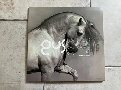 GusGus _ Arabian Horse _ 2 X Vinile LP 33giri 12'' gatefold _ 2011 europe NM