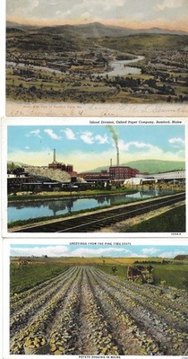 3 POSTCARDS MAINE Rumford VINTAGE 1906 Birds Eye Oxford Paper Co. Potato Digging