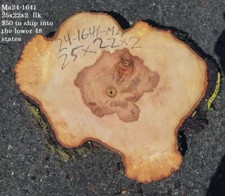 Maple Burl slab  live edge  cookie cut  DIY  End Table  Ma24-1641