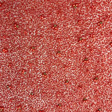 Beaded Net With Pearls & Stones AE027 AI/E/21479