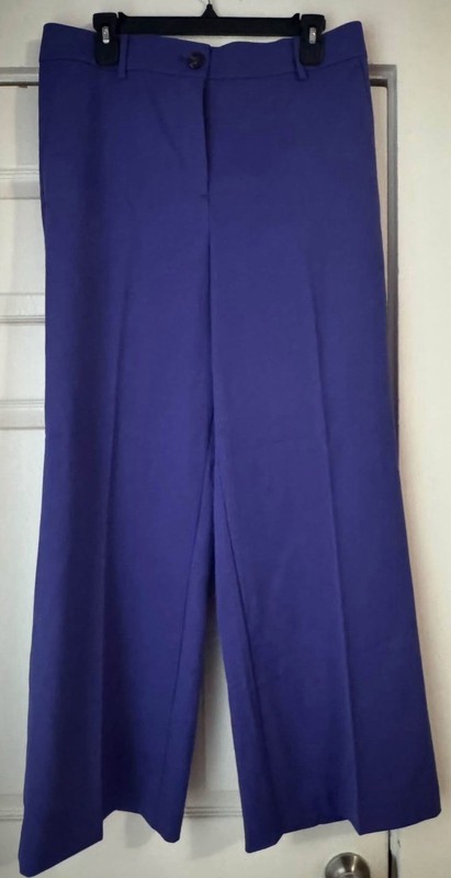 Ann Taylor Wide-Leg Dress Pants, Size 10 ￼