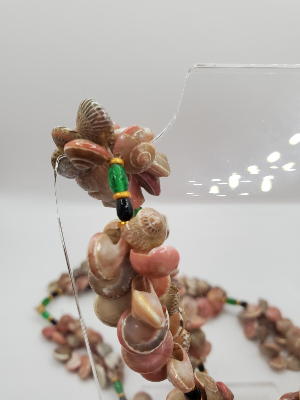 Vintage Seashells Button Shell Necklace Umbonium … - image 3