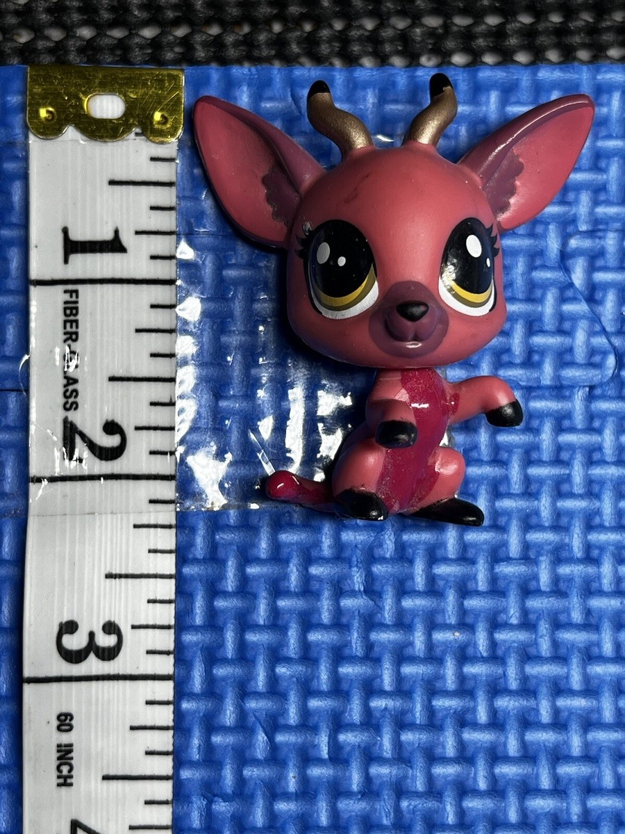 DREAM PETカバとサイのセット Amazon.com: SIMPLE STORIES Pet Shoppe Cat Collection Kit 12